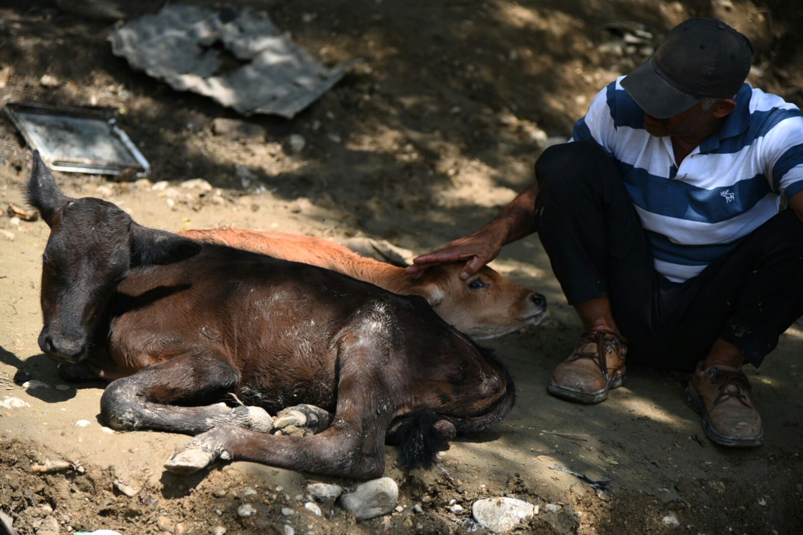 Vista de residentes en el sector Los Panchos, en Moca, afectados por las inundaciones. 