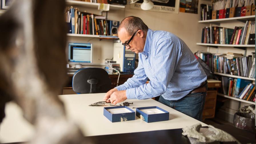 Paleontólogos argentinos presentan el aparato fonador de ave más antiguo