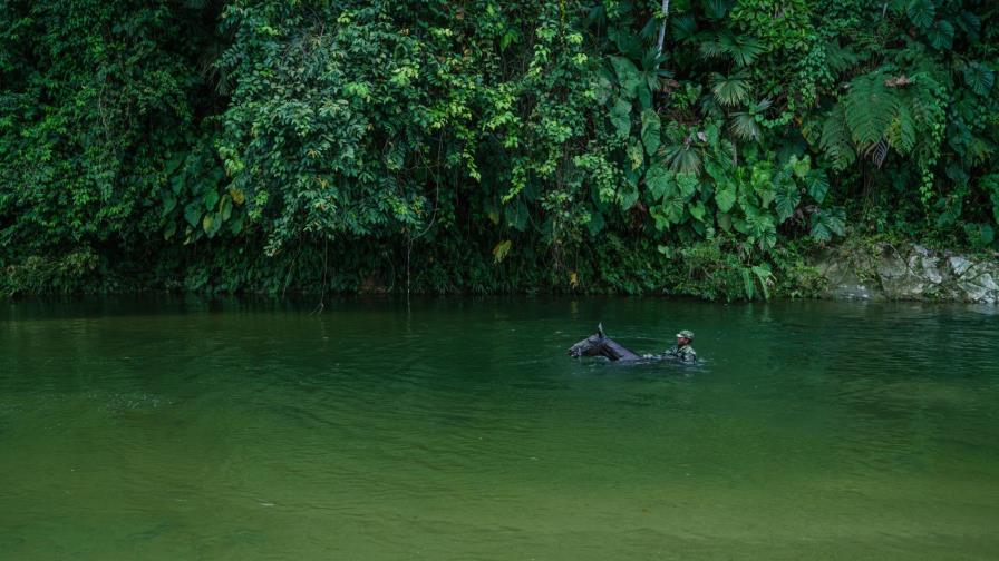 Fotografías del mundo se toman centro histórico de puerto brasileño de Santos