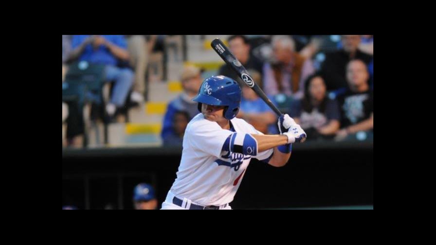 Los Tigres del Licey recibirán tres nuevos refuerzos 