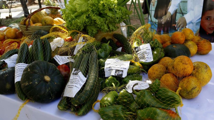 La ONU pide adaptar agricultura para evitar hambrunas por el cambio climático 