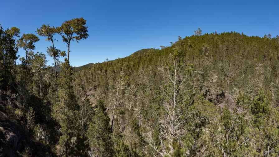 Los guardianes de Valle Nuevo
