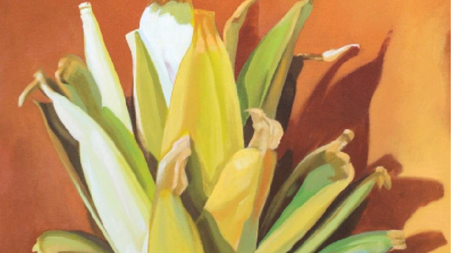 Jugando a dominar la luz