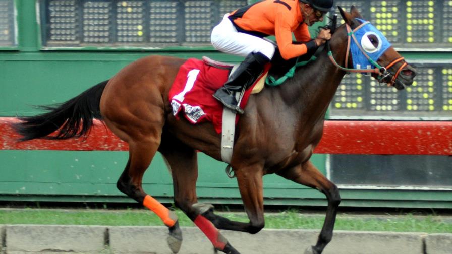 Stefany Pol gana carrera estelar en el hipódromo V Centenario