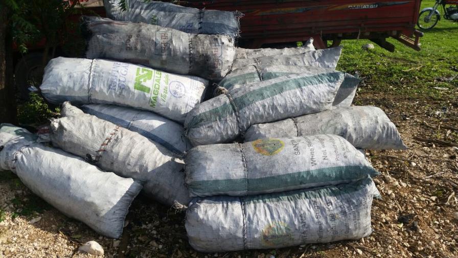 Domínguez Brito: “El carbón ilegal debe ser perseguido como la cocaína”