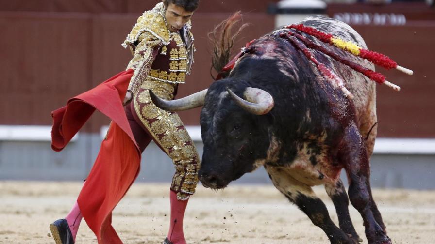 Tribunal Constitucional español anula la prohibición de los toros en Cataluña 