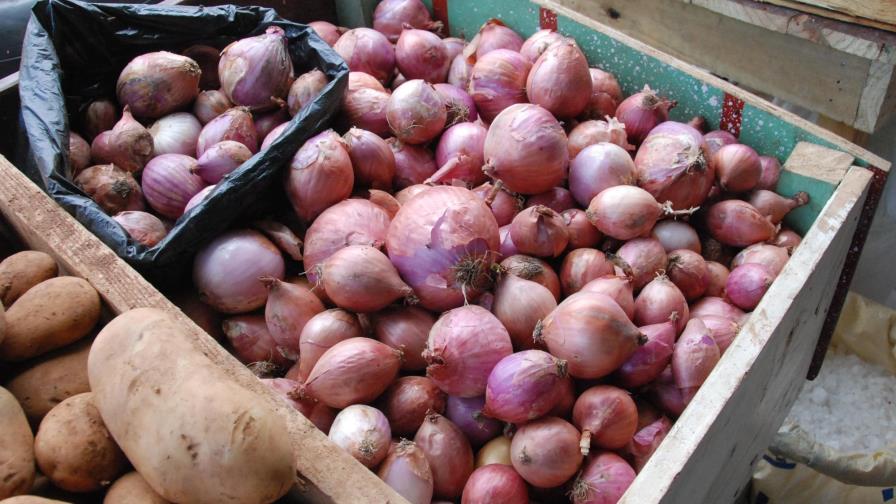 Productores agrícolas presentan al Gobierno propuesta para enfrentar impacto del DR CAFTA Productores agrícolas presentan al Gobierno propuesta para enfrentar impacto del DR CAFTA