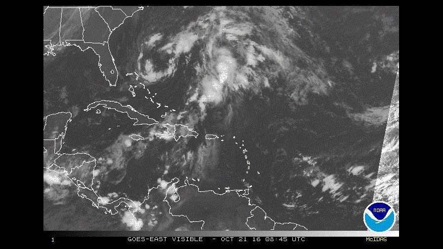 COE mantiene 14 provincias en alerta verde y 8 en amarilla