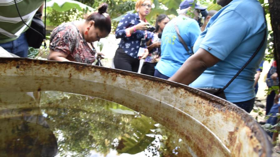 Ministerio de Salud informa que los casos de dengue bajaron este año   