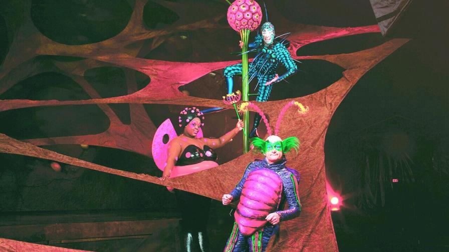 Sal del cascarón, ¡descubre a “Ovo”!