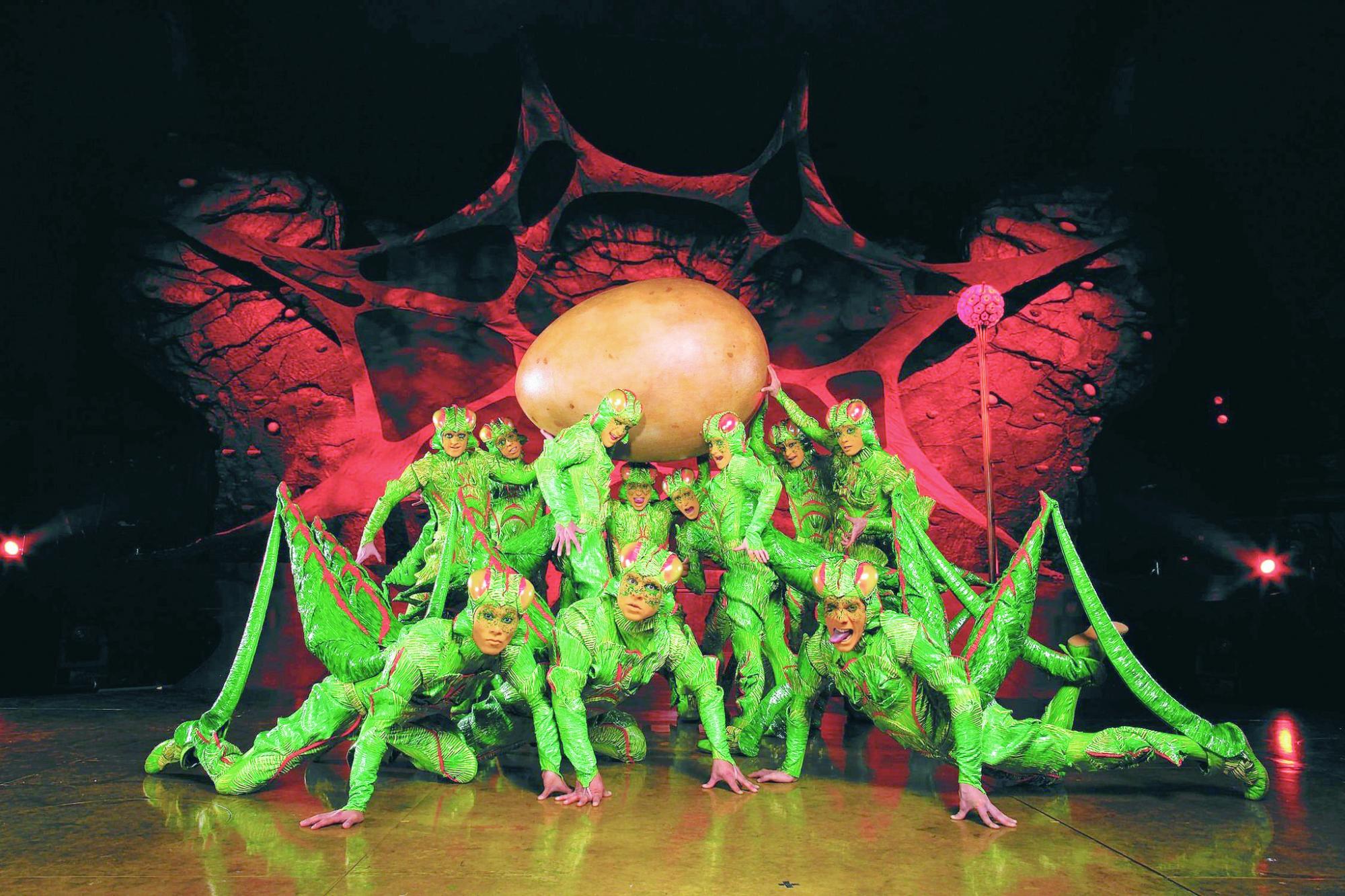 “Ovo” es lo nuevo que trae el circo canadiense.