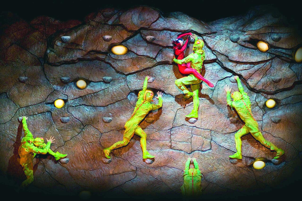 Los grillos escalan paredes para llamar tu atención.