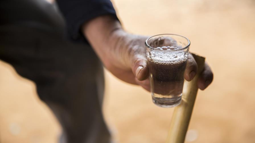 Mezcal compite con popularidad del tequila