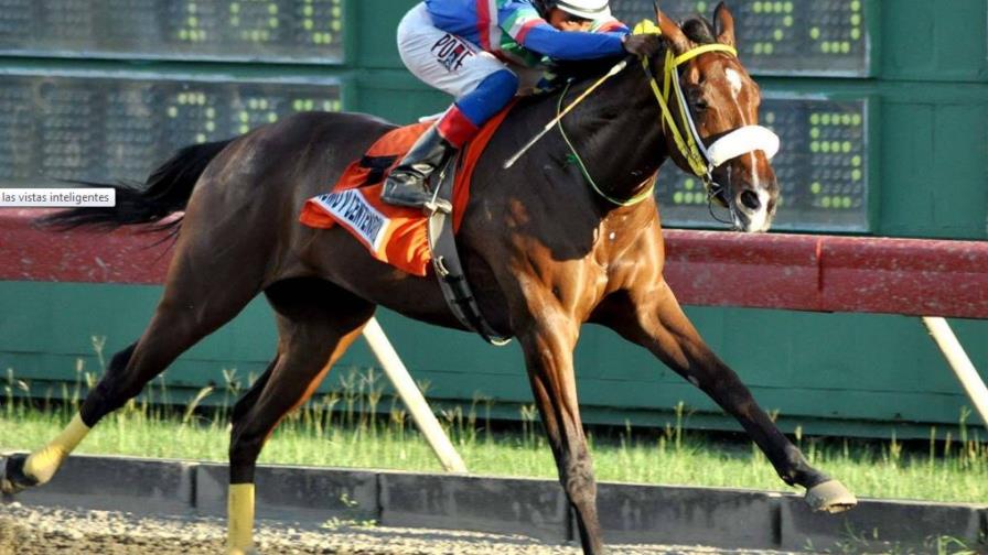 Subestimado gana la carrera estelar en el V Centenario