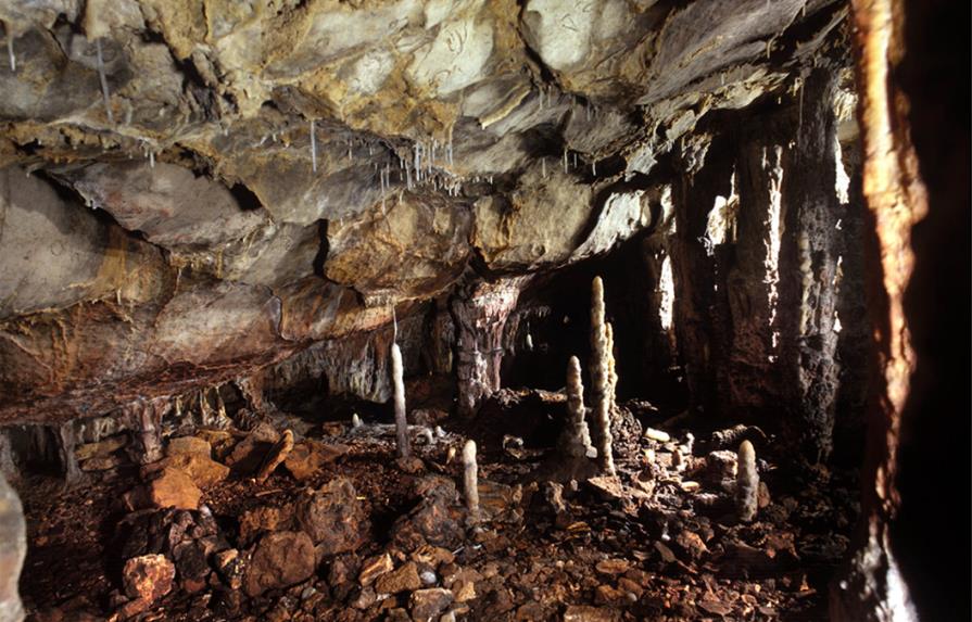 Encuentran los restos de uno de los últimos leones de las cavernas de Eurasia