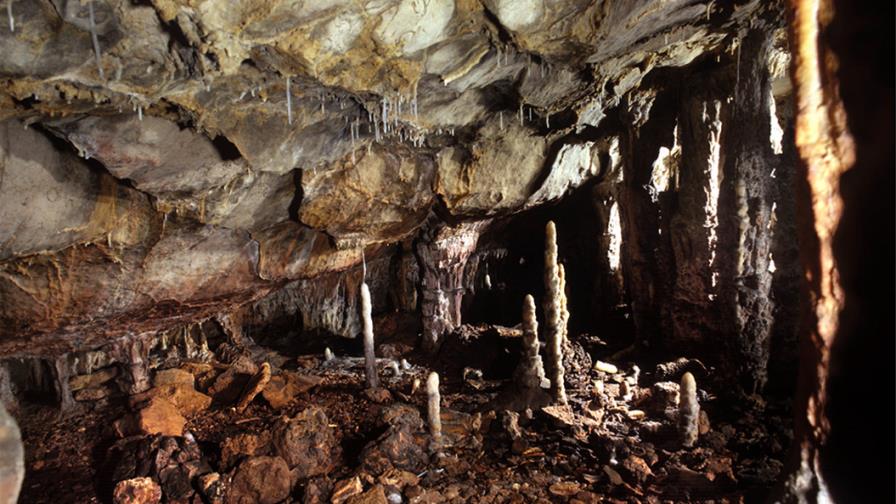 Encuentran los restos de uno de los últimos leones de las cavernas de Eurasia
