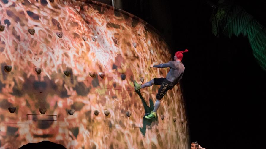 Ovo, una alegoría de la vida desde el mundo microscópico de los insectos