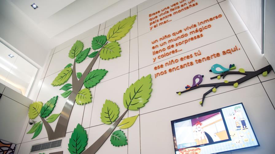 Pasos hacia la inclusión