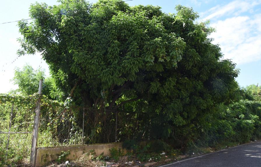 Vecinos de Los Cacicazgos exigen limpieza de solar