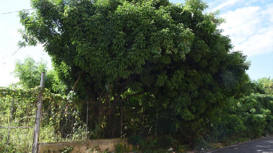 Vecinos de Los Cacicazgos exigen limpieza de solar