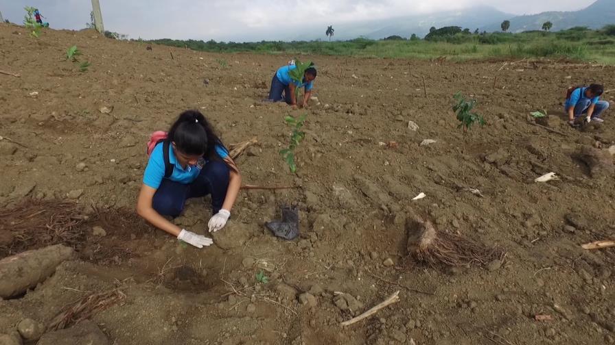 Más de siete mil árboles de 52 especies fueron plantados en Santiago
