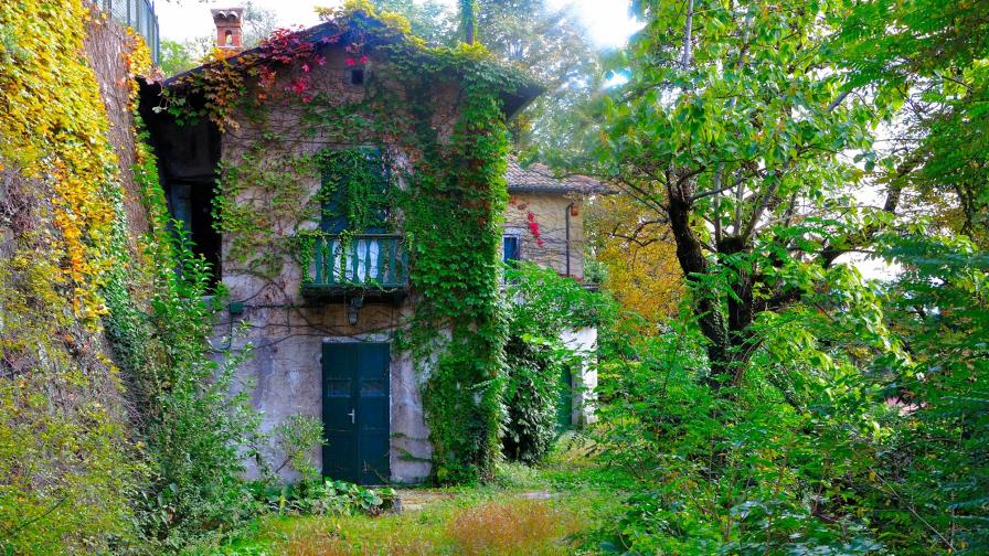 La muerte vive en Viena