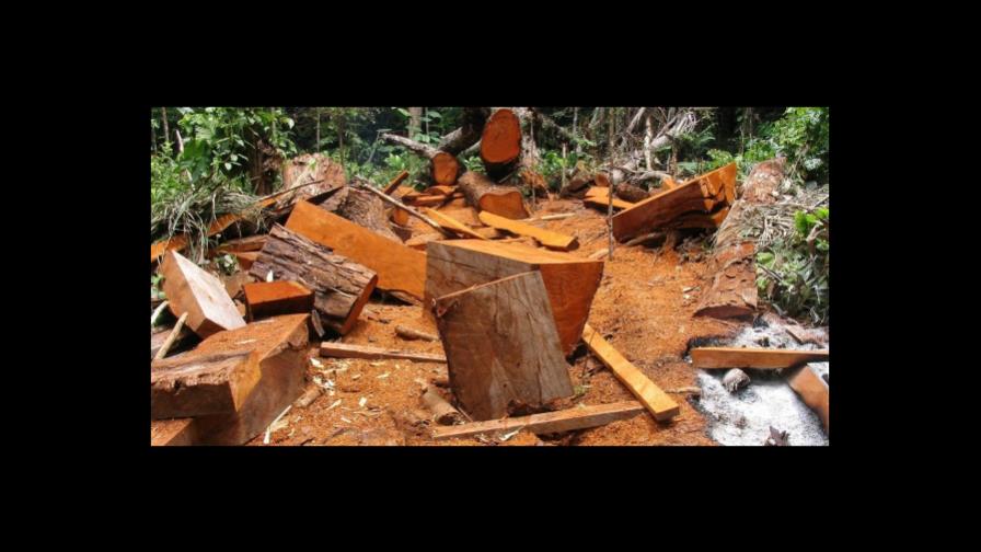Amazonía peruana pierde 2 millones de hectáreas de bosque