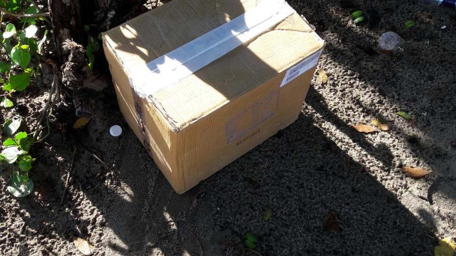 Mueren dos bebés tras ser abandonados dentro de una caja Mueren dos bebés tras ser abandonados dentro de una caja