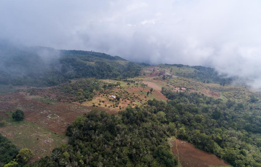 Ciudadanos denuncian ante CAFTA-RD  la destrucción de Sierra de Bahoruco
