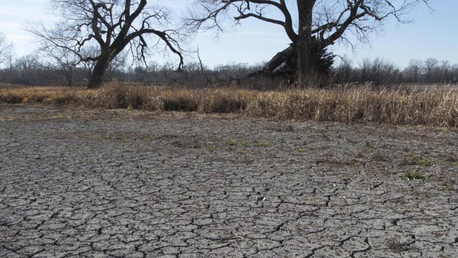 Acusan gobierno de no tener interés con Acuerdo de París Acusan gobierno de no tener interés con Acuerdo de París