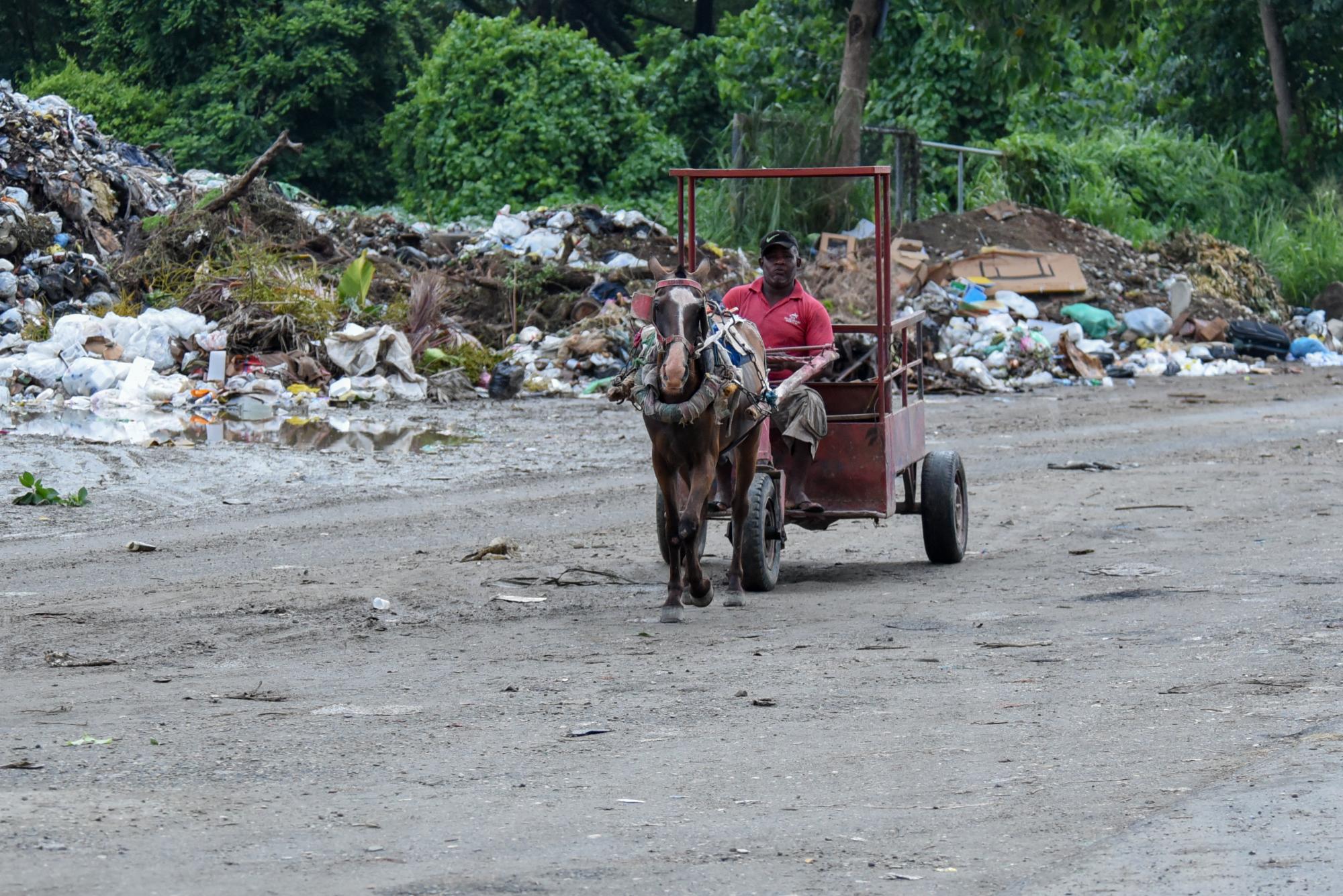 Foto tomada en agosto de este año.