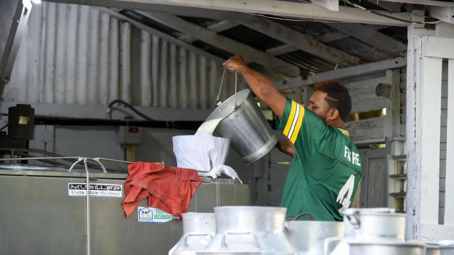 Ganaderos de la Línea Noroeste regalarán 10 mil litros de leche como protesta Ganaderos de la Línea Noroeste regalarán 10 mil litros de leche como protesta