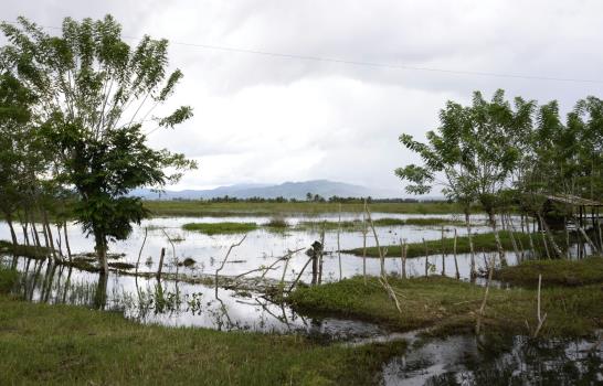 Agricultores de Nagua están “ahogados” en las pérdidas que les deja la inundación