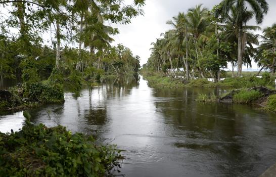 Agricultores de Nagua están “ahogados” en las pérdidas que les deja la inundación