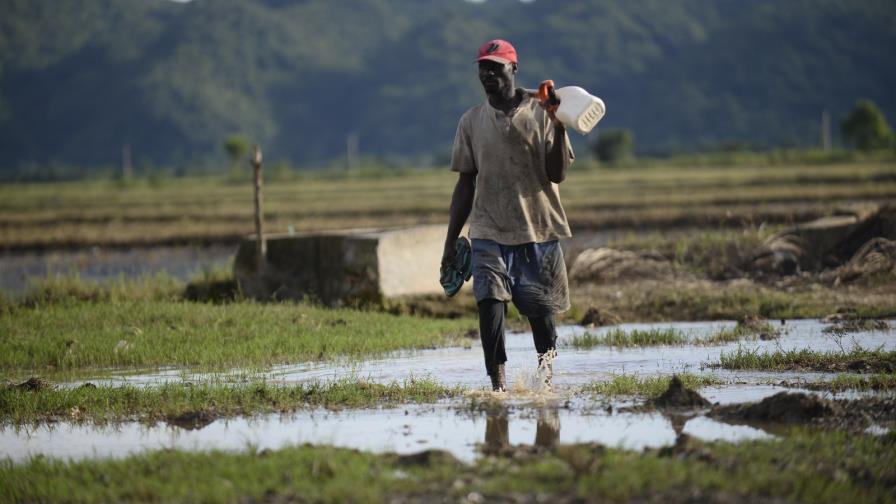 El COE mantiene en alerta roja la provincia Duarte en especial el Bajo Yuna El COE mantiene en alerta roja la provincia Duarte en especial el Bajo Yuna
