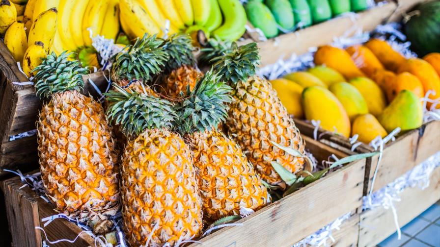 El sector agropecuario concentra el 50% de las exportaciones nacionales en 2015