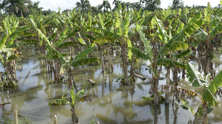 Inundaciones dejan pérdidas millonarias en República Dominicana 