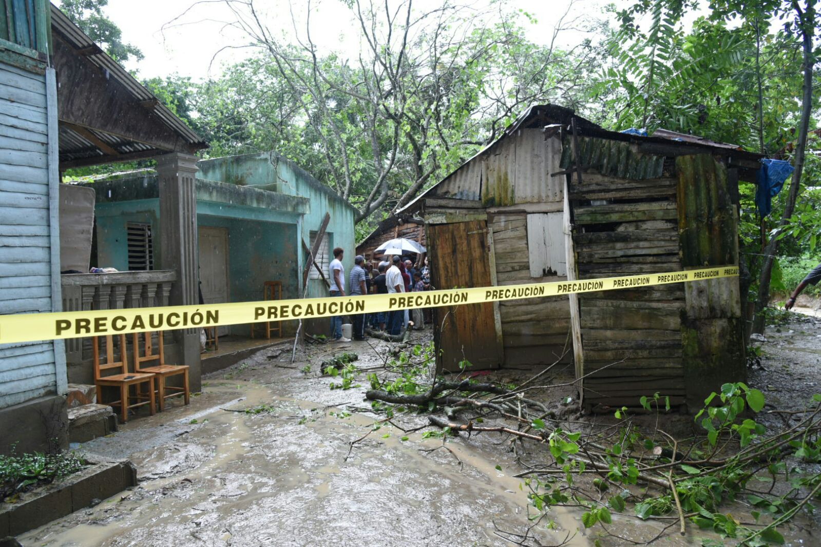 Un árbol cayó sobre una casa la madrugada de este jueves 24 de noviembre de 2016, en el municipio Salcedo, provincia Hermanas Mirabal.  