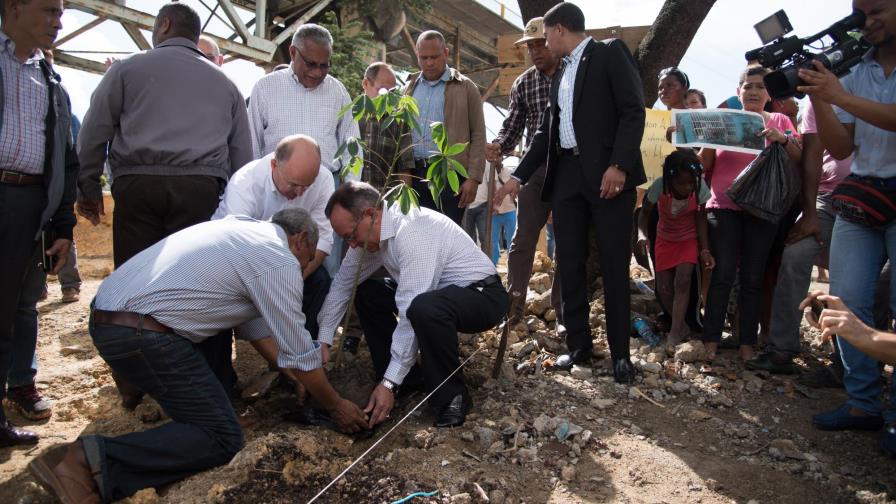 Gobierno llena de árboles cuencas de los ríos Ozama e Isabela