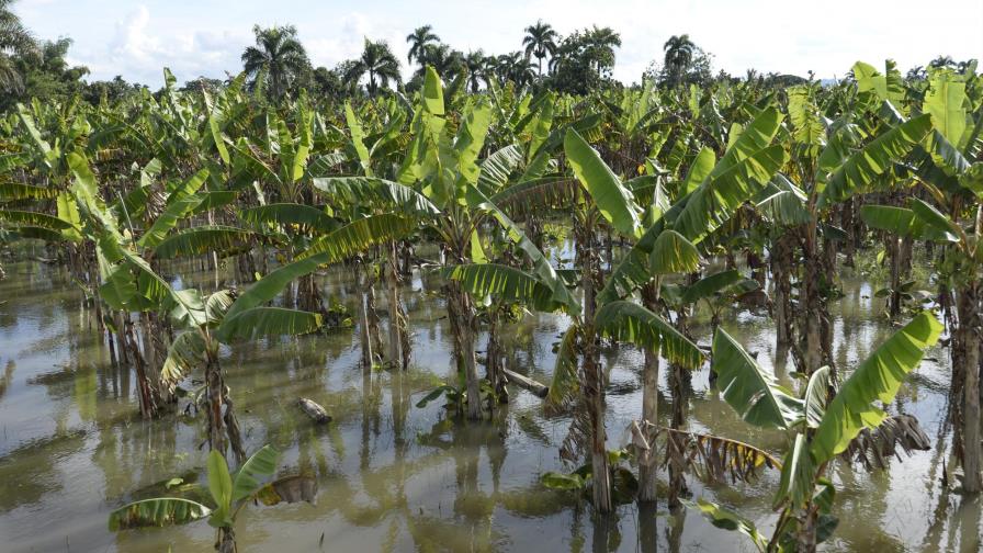 El Gobierno calcula en más de RD$20,000 millones los daños causados por las lluvias El Gobierno calcula en más de RD$20,000 millones los daños causados por las lluvias