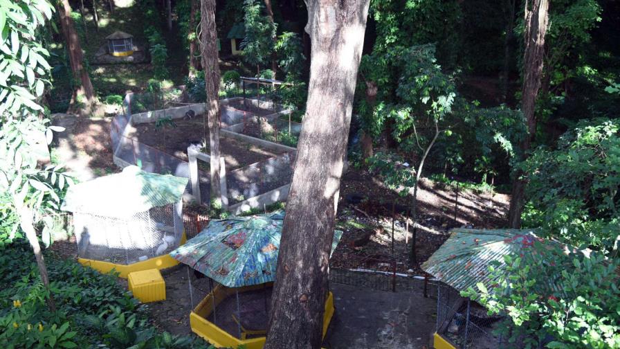 Roban tres flamencos del zoológico de Moca Roban tres flamencos del zoológico de Moca