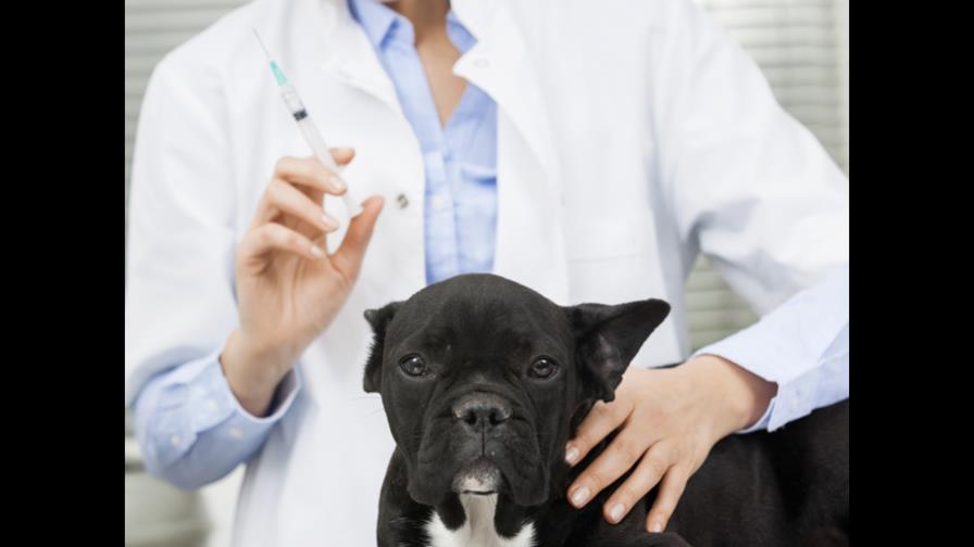 Calendario de vacunas