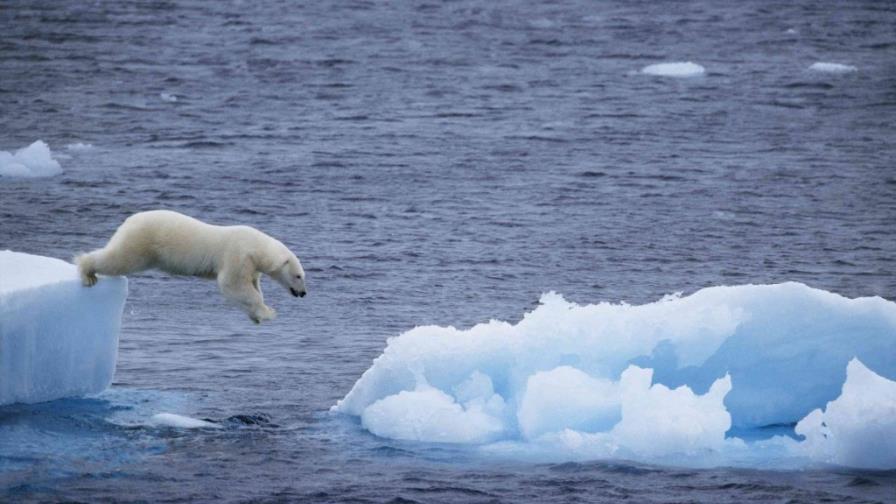 Aumento de las temperaturas en el Polo Norte preocupa a los científicos