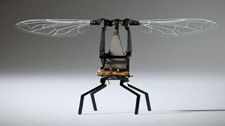 Científicos polacos crean abeja robótica que poliniza como real