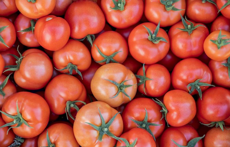 Firman convenio para apoyar a productores de tomates 