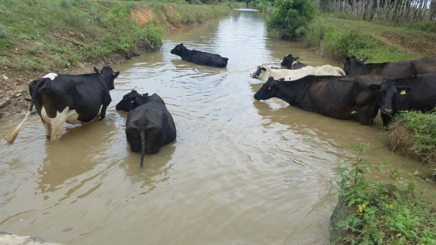 Danilo Medina dispone organismos de socorro se mantengan en zonas vulnerables