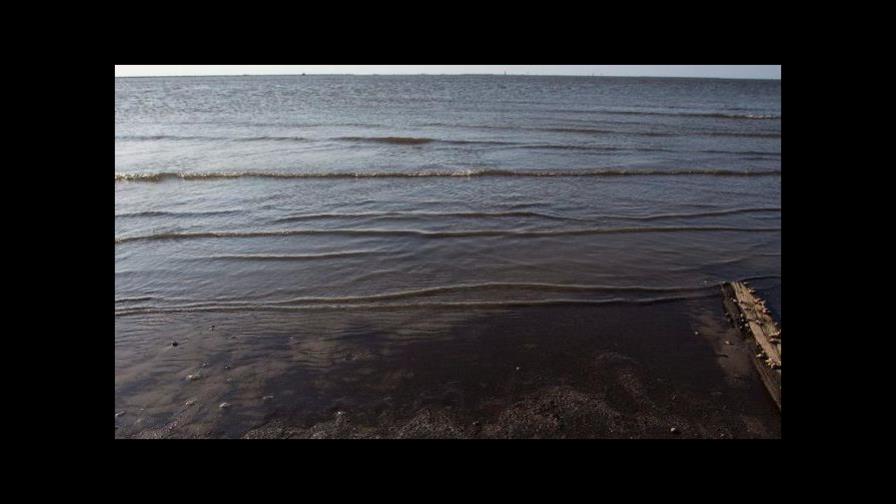 Nuevas “zonas muertas” impactan         el equilibrio marino