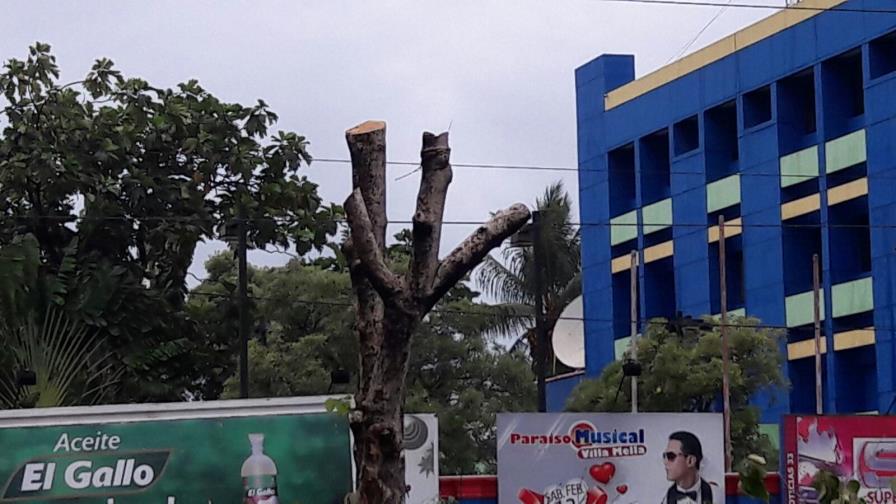 Denuncian tala de los árboles de la isleta central en la avenida Luperón