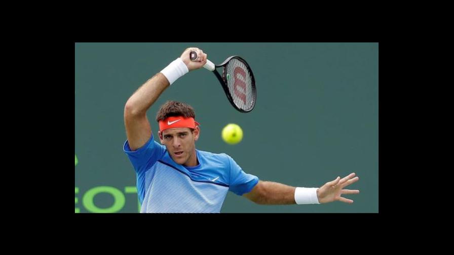Juan Martín Del Potro y su cuento de hadas fascinan al tenis en 2016