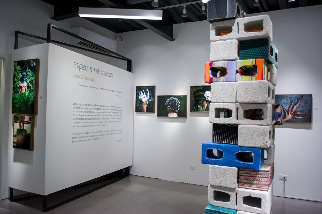 Vista de la exposición “Especies y espacios” que se realiza en Lucy García Arte Contemporáneo